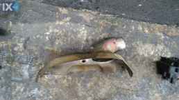 ΚΑΠΑΚΙ ΠΟΛΛΑΠΛΗΣ ΕΞΑΓΩΓΗΣ ΓΝΗΣΙΟ CITROEN SAXO