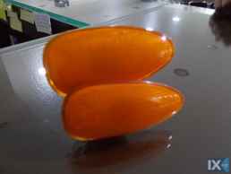 ΦΛΑΣΑΚΙ ΣΤΟ ΦΤΕΡΟ ΓΝΗΣΙΟ FIAT BRAVO