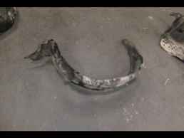 ΘΟΛΟΙ ΓΝΗΣΙΟΙ FORD MAVERICK