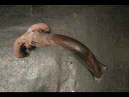 ΠΟΛΛΑΠΛΗ ΕΞΑΓΩΓΗΣ ΓΝΗΣΙΑ PEUGEOT 106