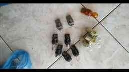 ΛΑΜΠΑΚΙ ΓΝΗΣΙΟ BMW E36