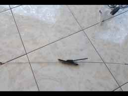 ΚΕΡΑΙΑ ΓΝΗΣΙΑ HYUNDAI ATOS PRIME