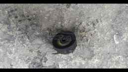 ΤΕΝΤΩΤΗΡΑΣ ΓΝΗΣΙΟΣ SEAT IBIZA