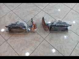 ΦΛΑΣ ΓΝΗΣΙΟ NISSAN SUNNY Ν13