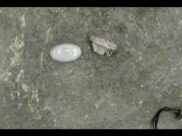 ΦΛΑΣ ΓΝΗΣΙΑ MERCEDES A 140