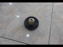 ΠΟΡΤΑΚΙ ΒΕΝΖΙΝΗΣ ΓΝΗΣΙΟ SAXO VTS