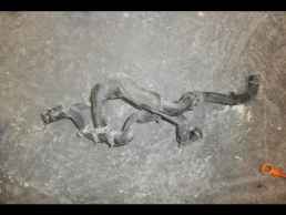 ΔΙΑΚΛΑΔΩΤΗΣ ΓΝΗΣΙΟΣ VOLKSWAGEN POLO